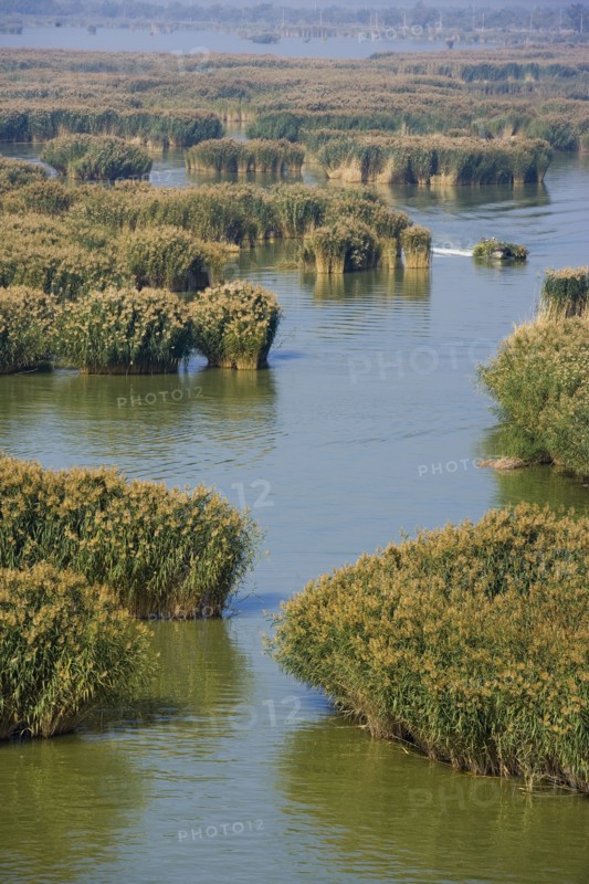 Yinchuan in Ningxia
