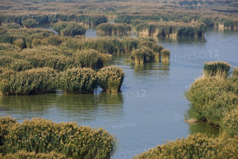 Yinchuan in Ningxia