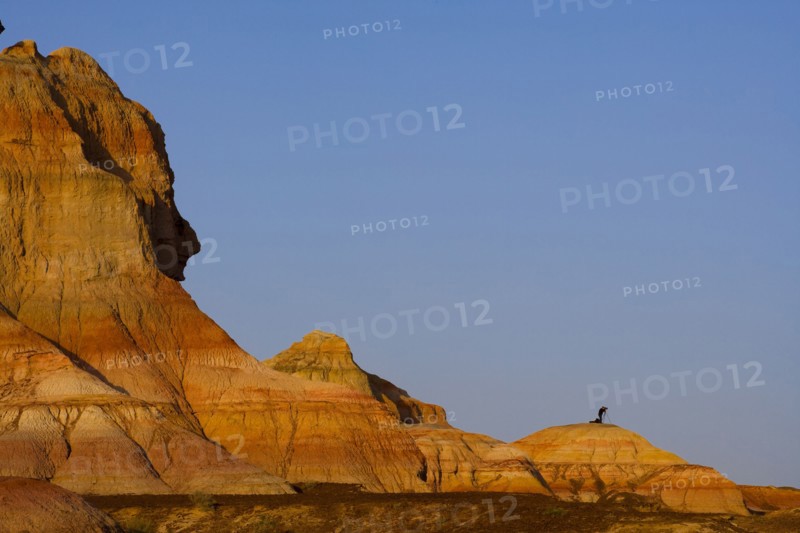 Xinjiang colorful city