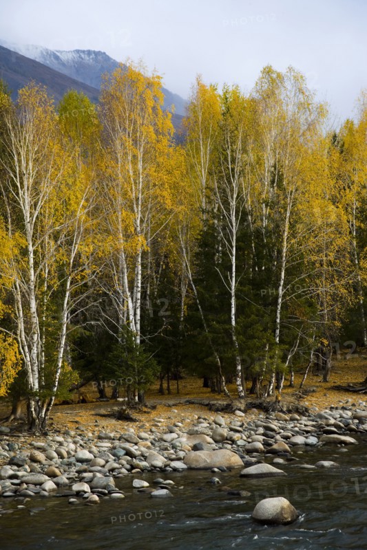 Xinjiang Province, Aletai,