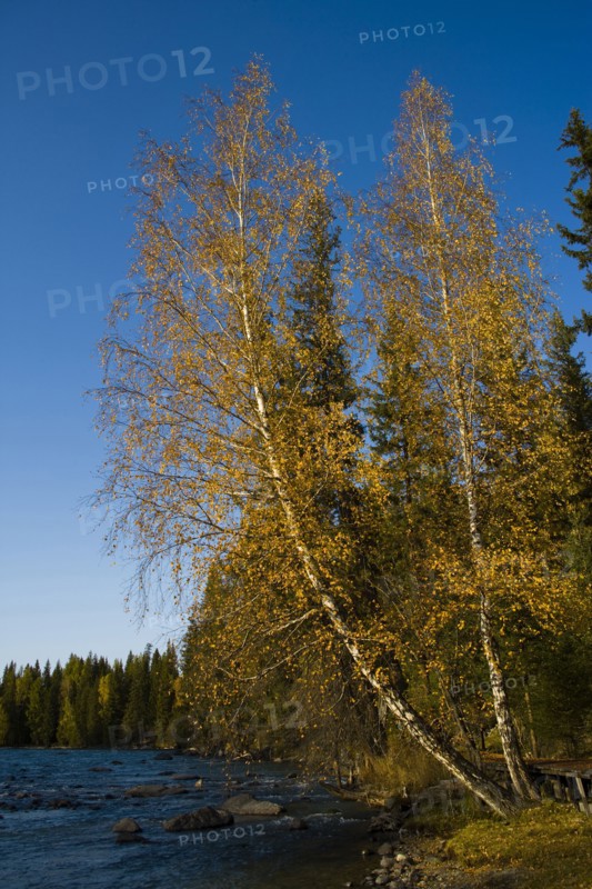 Altay Xinjiang, Kanas,