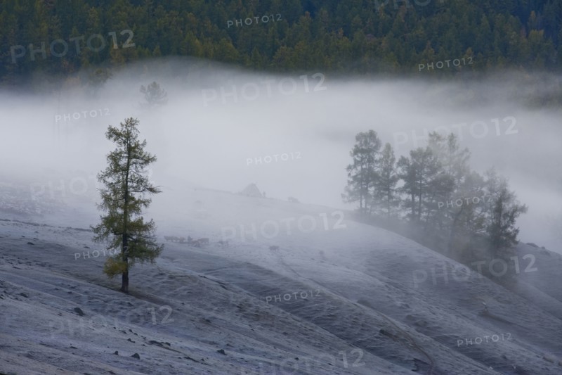Altay Xinjiang, Kanas,