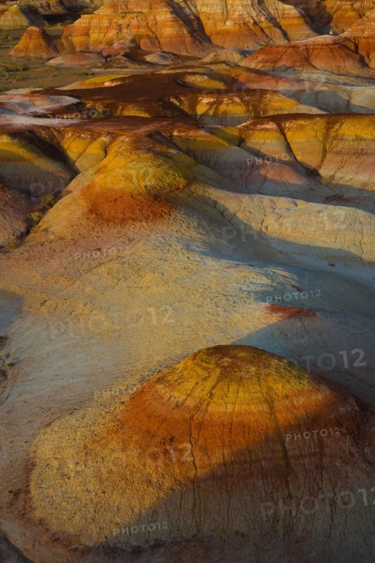 Xinjiang colorful city