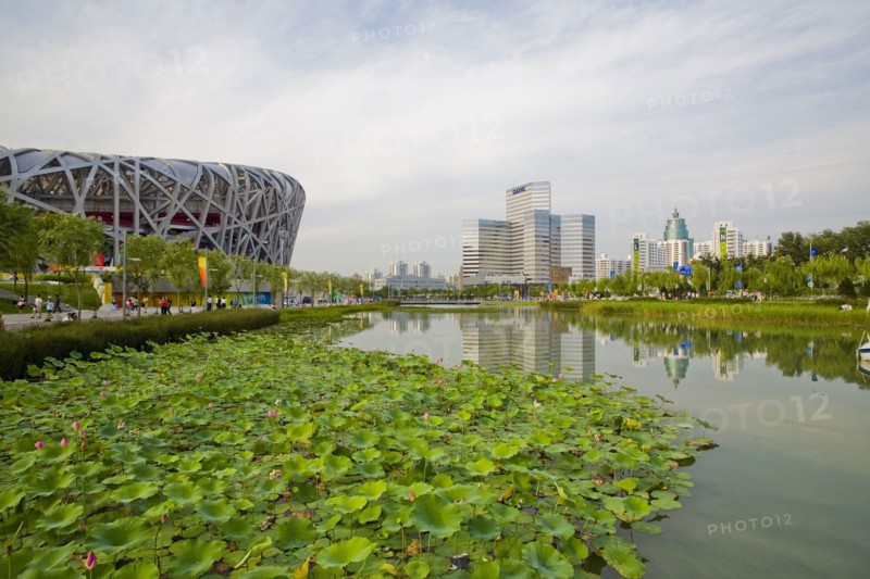 Beijing, the bird nest