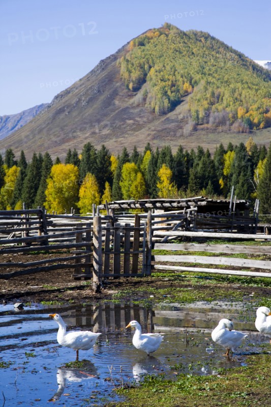Xinjiang Province, Aletai,