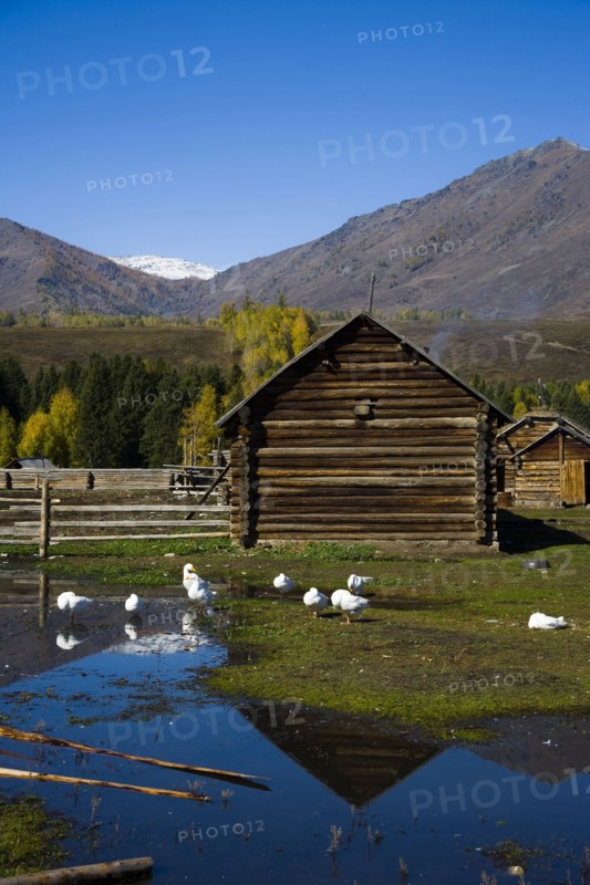 Xinjiang Province, Aletai,