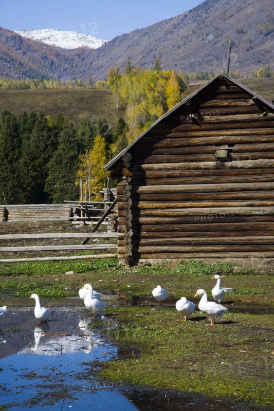 Xinjiang Province, Aletai,