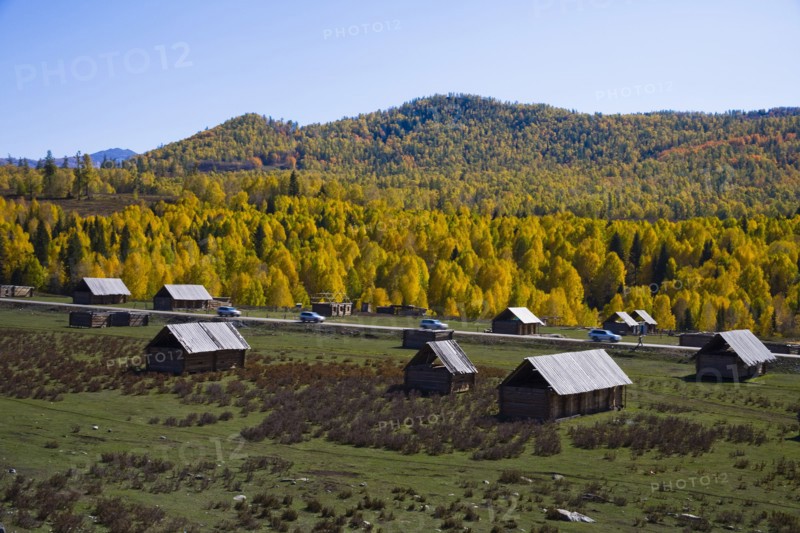Xinjiang Province, Aletai,
