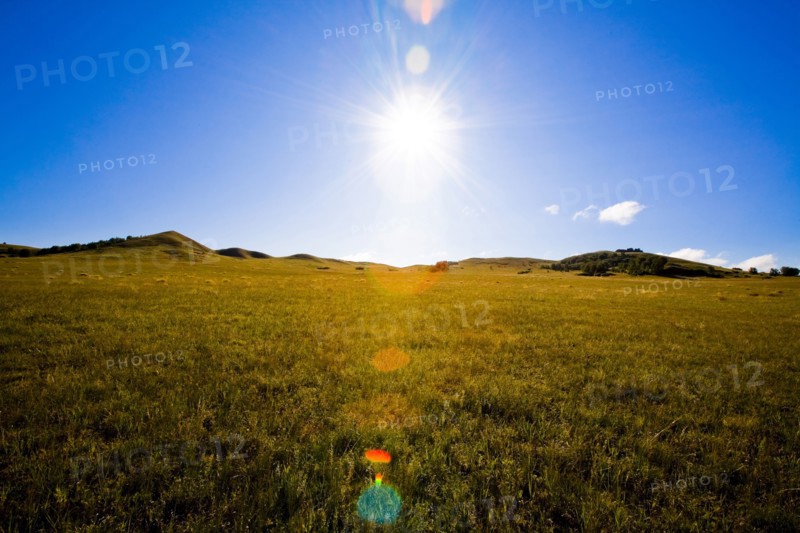 Bashang grassland in Inner Mongolia