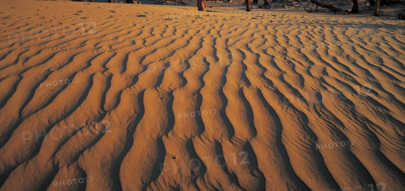 Desert