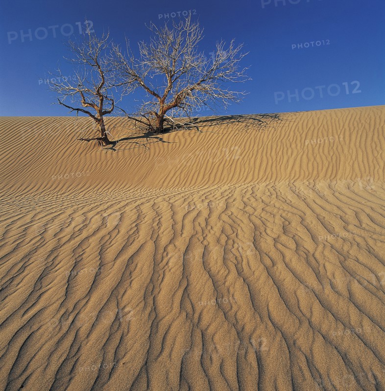 Xinjiang