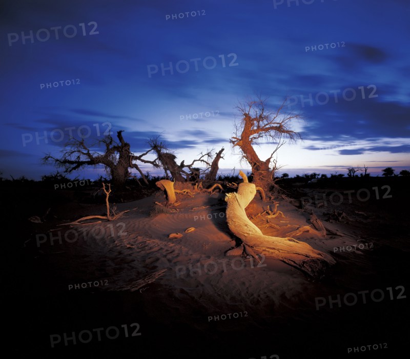 Xinjiang