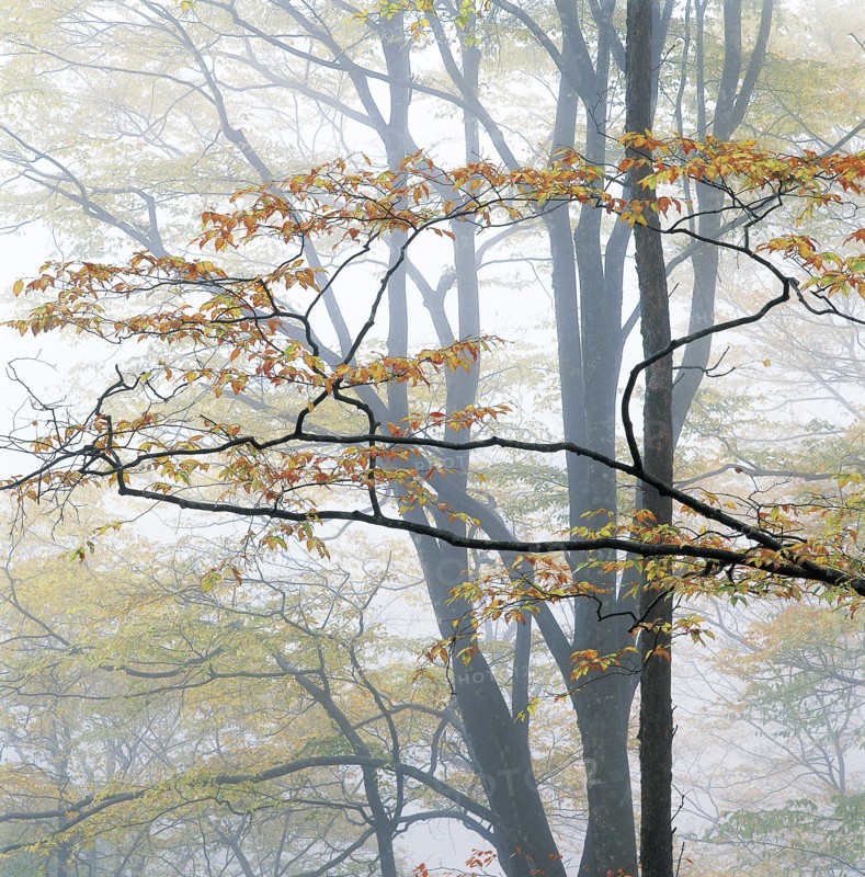 Sichuan Province,