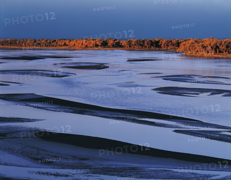 Xinjiang