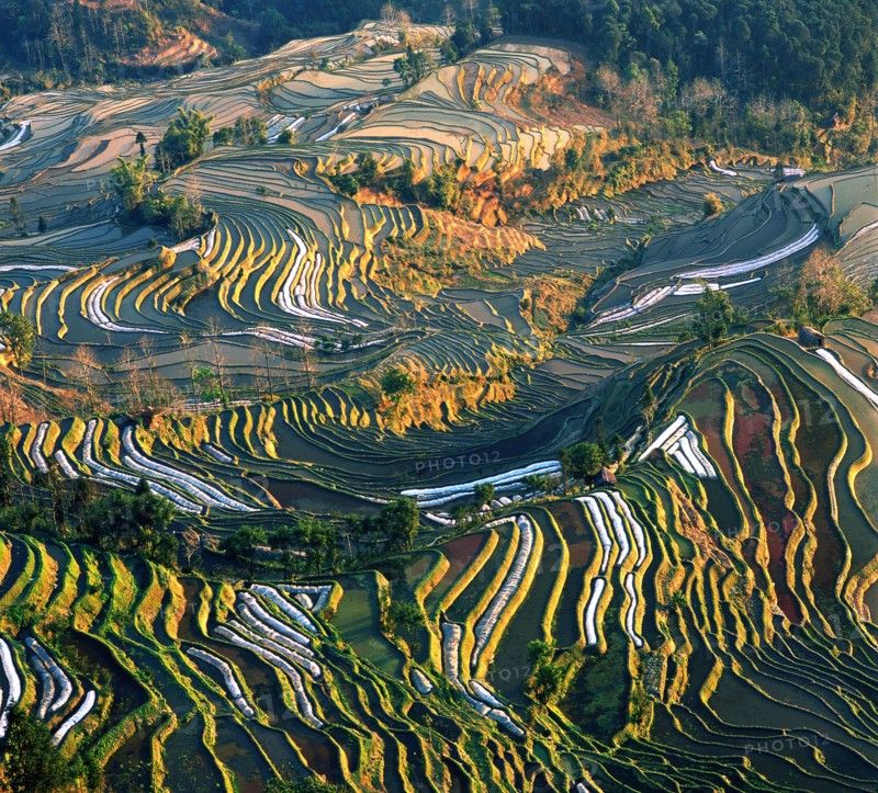 Yuanyang,Yunnan