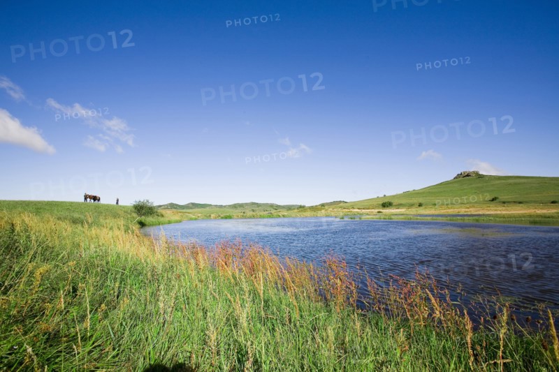 Bashang grassland in Inner Mongolia