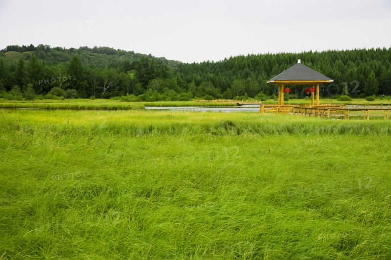 Bashang grassland in Hebei