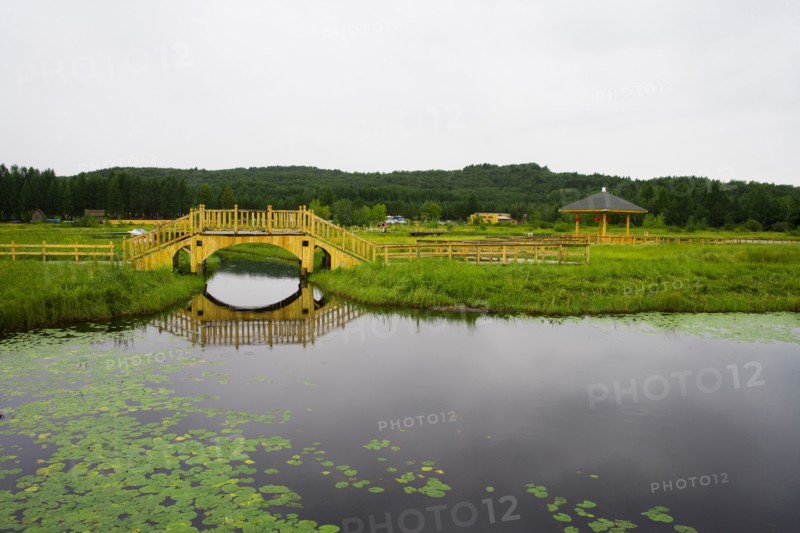 Bashang grassland in Hebei