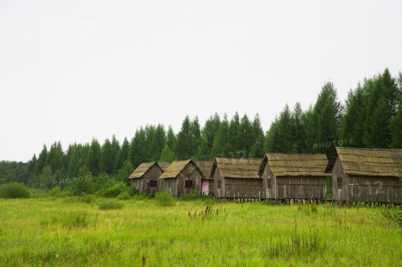 Bashang grassland in Hebei