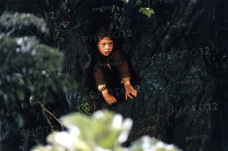 Le Petit Poucet