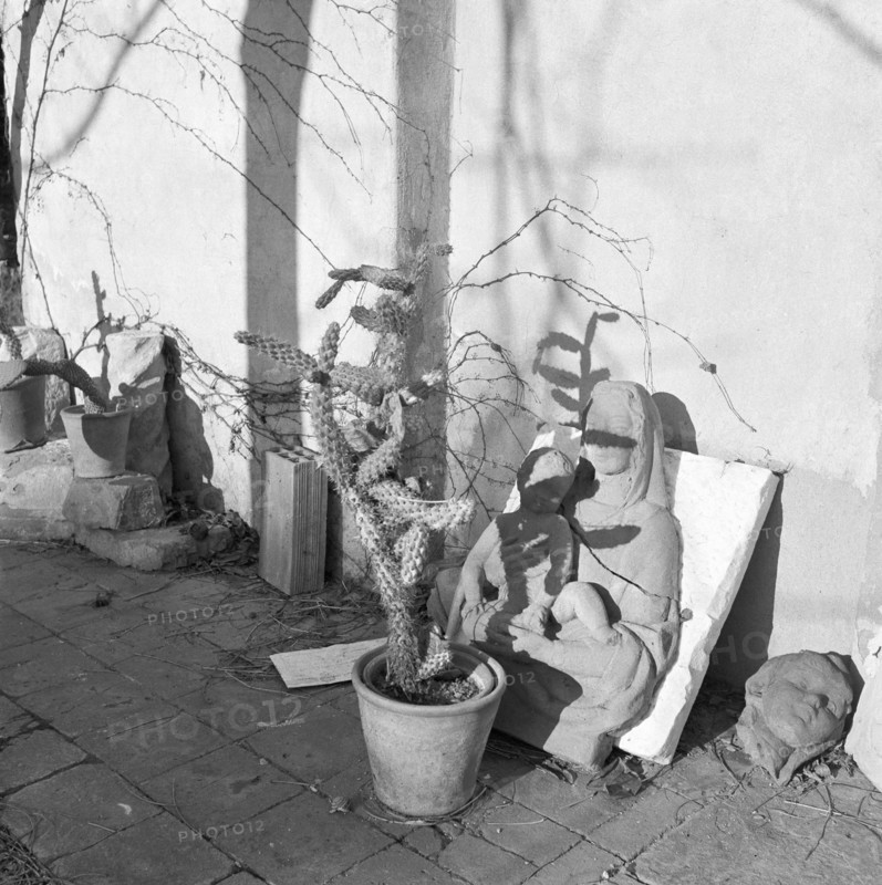 Cuchi White, Italie, 1949-1954