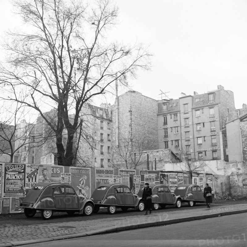 Cuchi White, France, 1954-1958