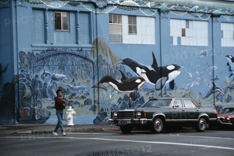 Cuchi White, Mur peint, Etats-Unis, 1983