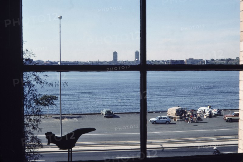 Cuchi White, États-Unis, 1983