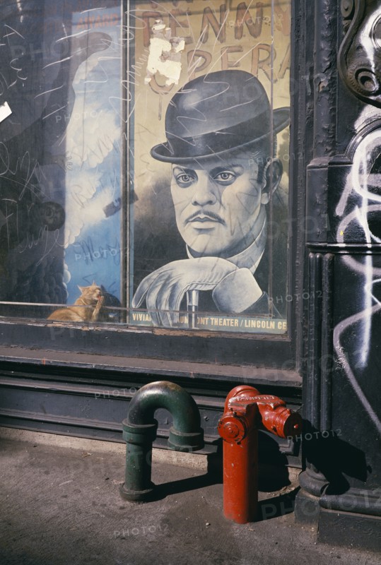 Cuchi White, Greenwich Village, New York, États-Unis, 1986-1988