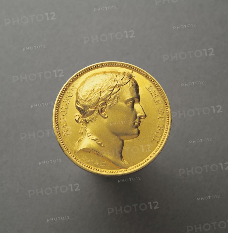 Grand module de Napoléon 1er de la Légion d'Honneur