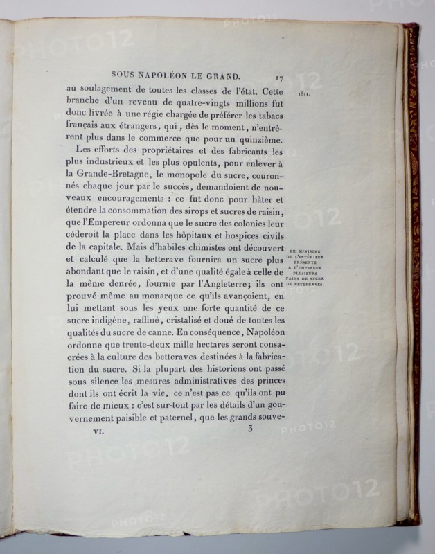 History of France, Napoleon I by David