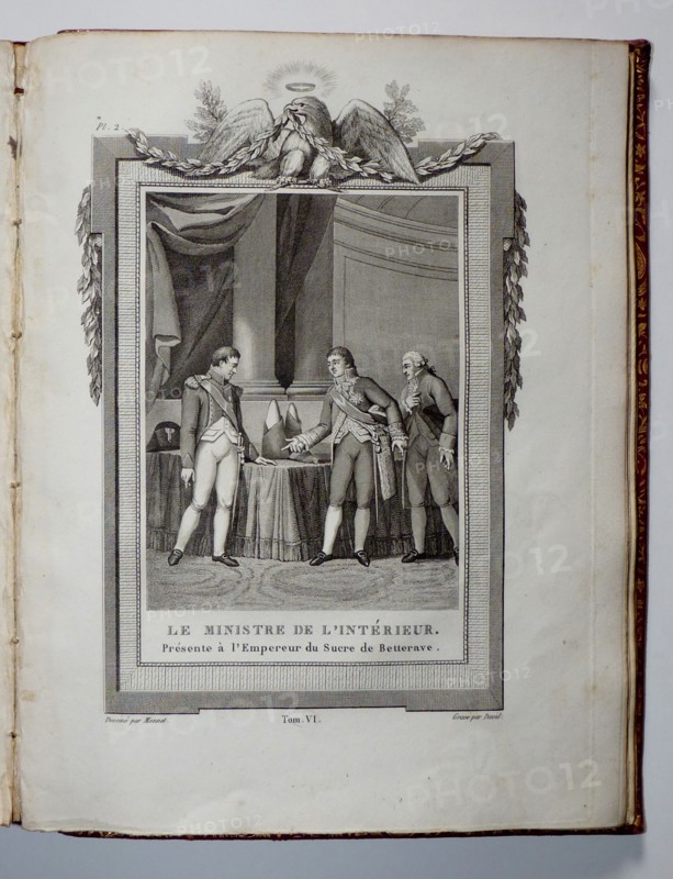 The French Interior minister presenting sugar from a beet to the emperor.