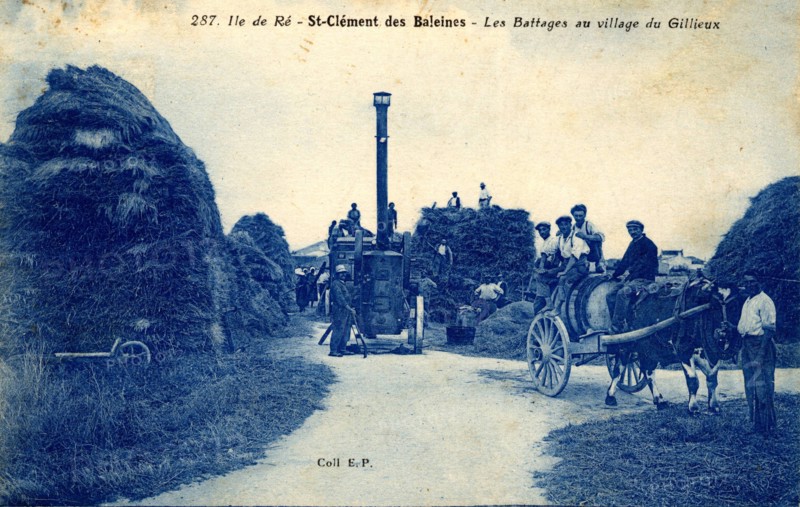Saint-Clément-des-Baleines