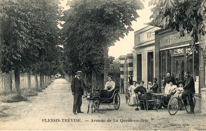 PLESSIS-TREVISE
