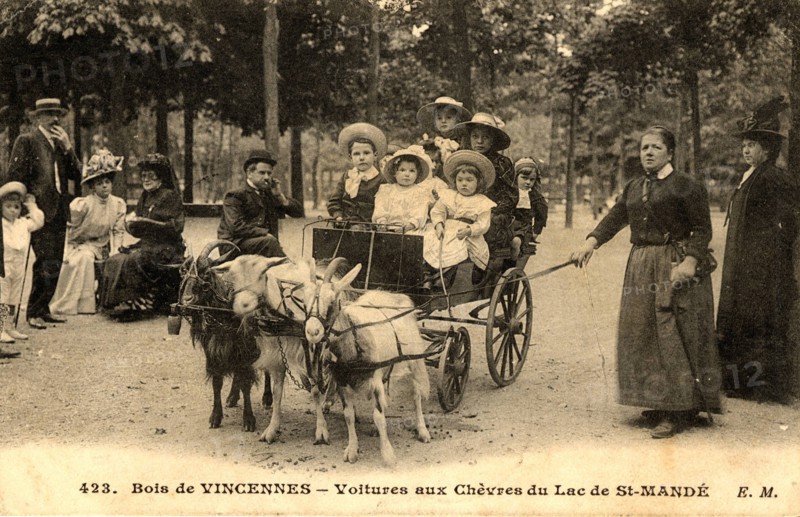 Bois de Vincennes, goat-cart at the lake of Saint-Mandé
Saint-Mandé