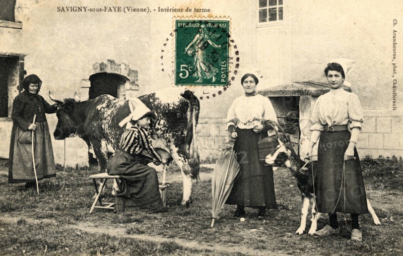 Savigny-sous-Faye