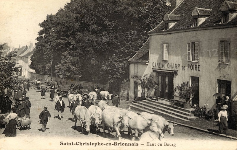 Flock of cows
SAINT-CHRISTOPHE-EN-BRIONNAIS