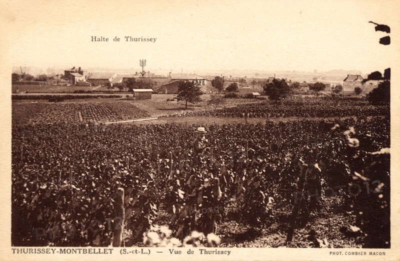 Thurissey