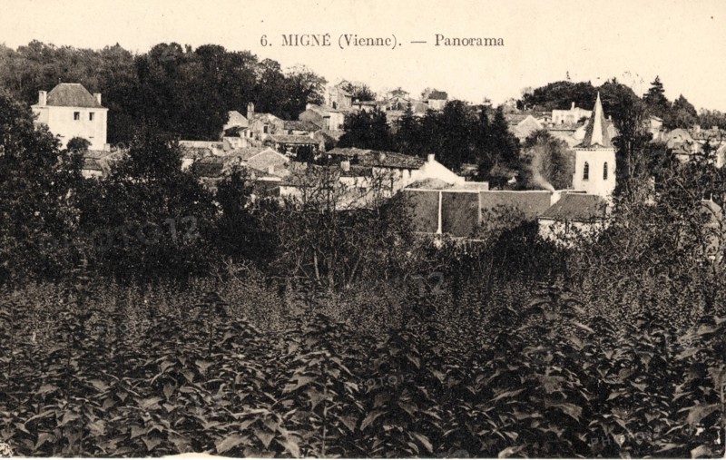 MIGNE-AUXANCES