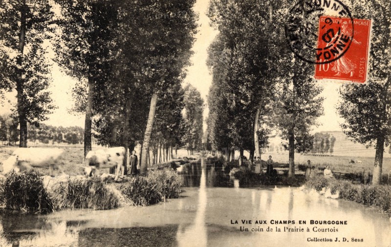Courtois-sur-Yonne