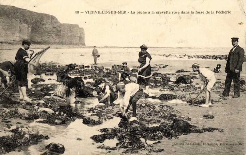 VIERVILLE