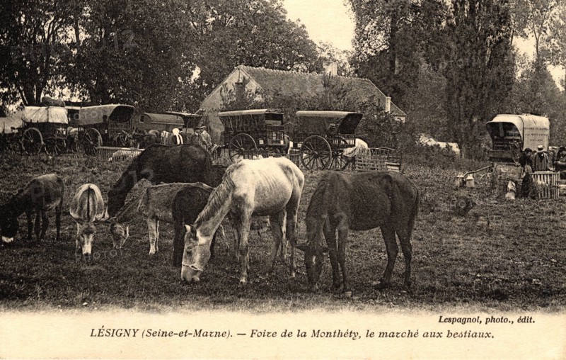 LESIGNY