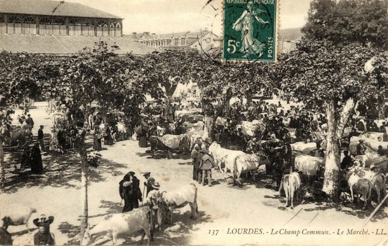 LOURDES