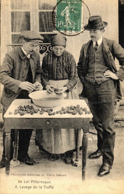 LES TRUFFES