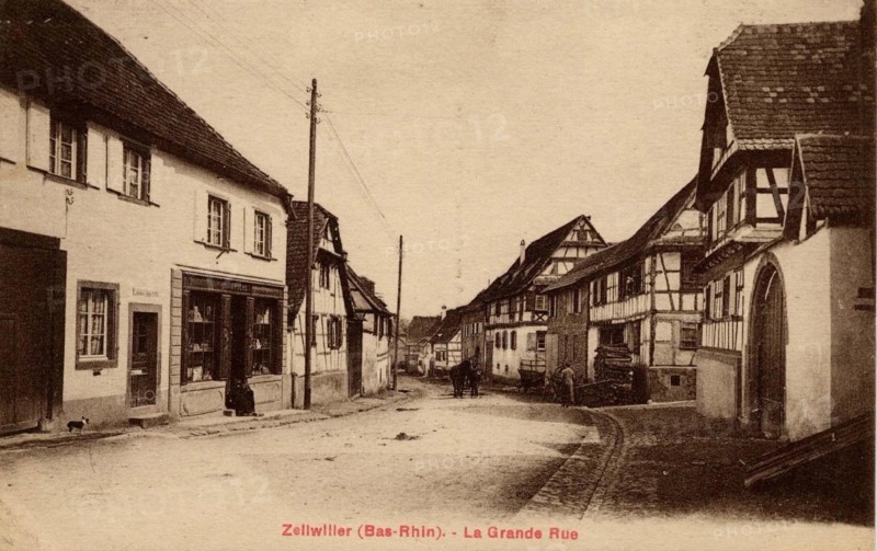ZELLWILLER