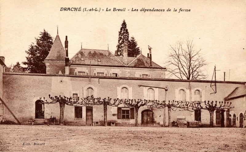 DRACHE
