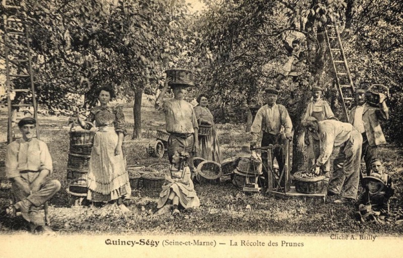 QUINCY-VOISINS-SEGY