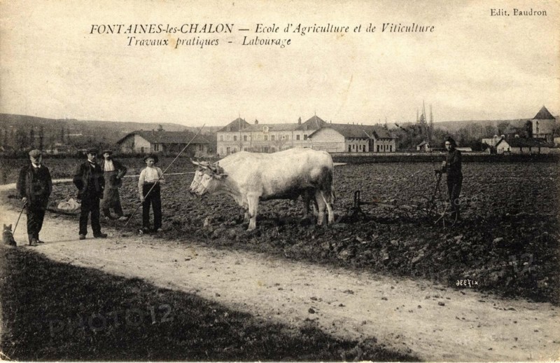 FONTAINES