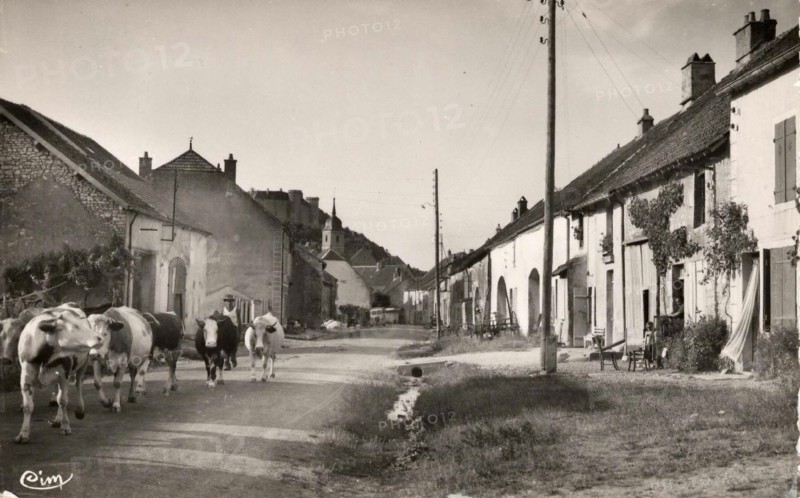 RAY-SUR-SAONE