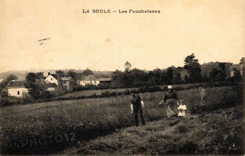 BOULE